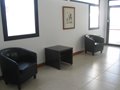 Planta alta