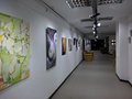 Exposición Griselda Collazos