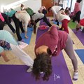 1 er. Encuentro de Yoga y Meditación del Sur de la Pcia. de Bs. As.